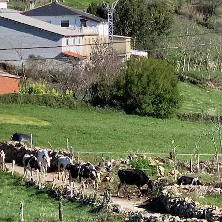 度假居 C'genoveva Complejo Turistico Rural Caleacabo