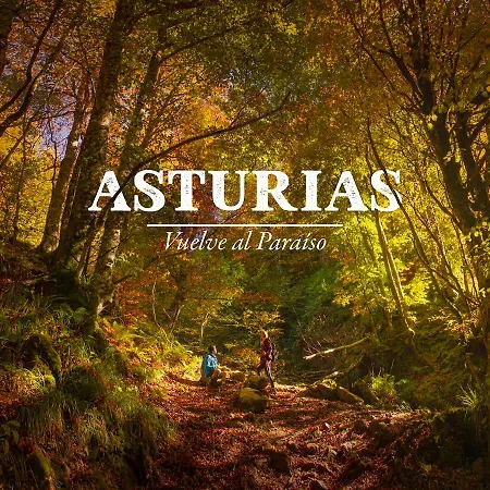 度假居 C'genoveva Complejo Turistico Rural Caleacabo *